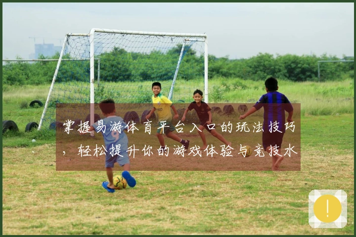 掌握易游体育平台入口的玩法技巧,轻松提升你的游戏体验与竞技水平