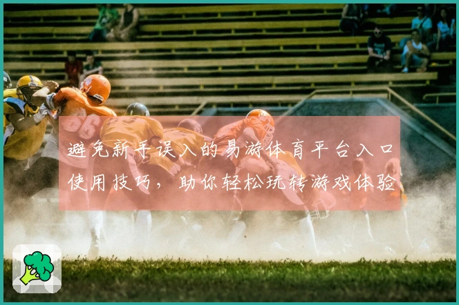 避免新手误入的易游体育平台入口使用技巧，助你轻松玩转游戏体验！