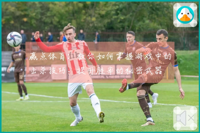 赢点体育：教你如何掌握游戏中的击杀技巧，提升胜率的秘密武器