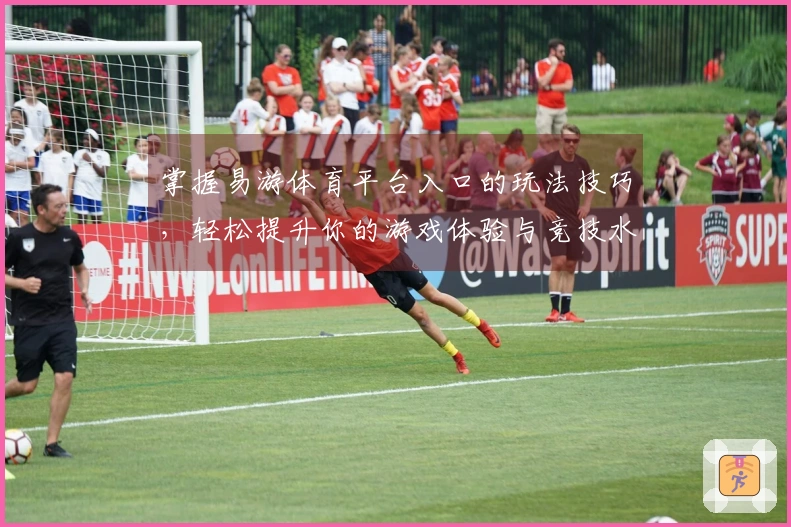 掌握易游体育平台入口的玩法技巧,轻松提升你的游戏体验与竞技水平